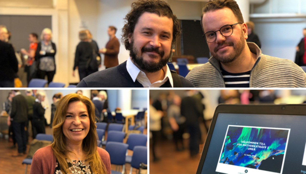 PIA-nätverksträff 12 mars 2019