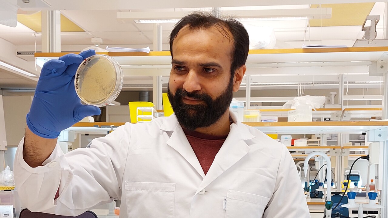 Irfan Ahmad Lab