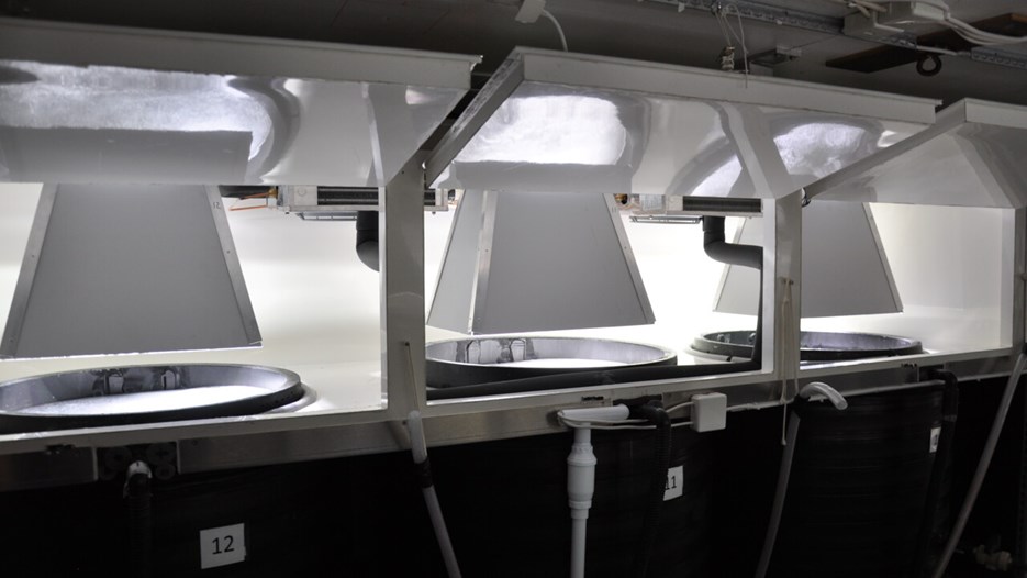 Tre isbelagda mesokosmrör inne i ett laboratorium. Varje rör har en kåpa med belysning.