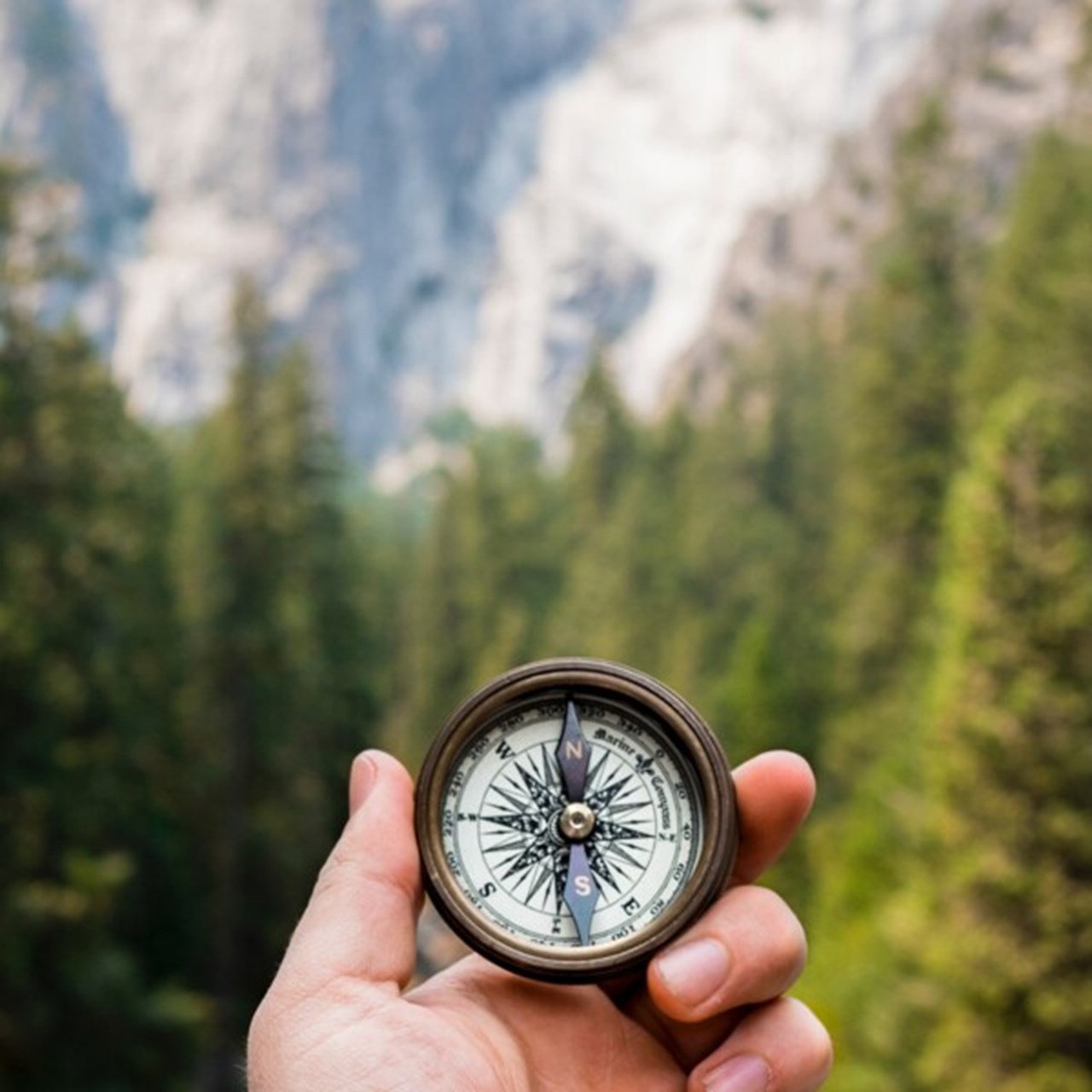 En hand håller i en kompass i ett bergspass omgiven av skog