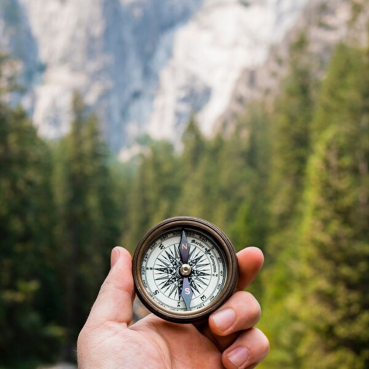 A hand is holding a compass in a mountain pass surrounded by forest