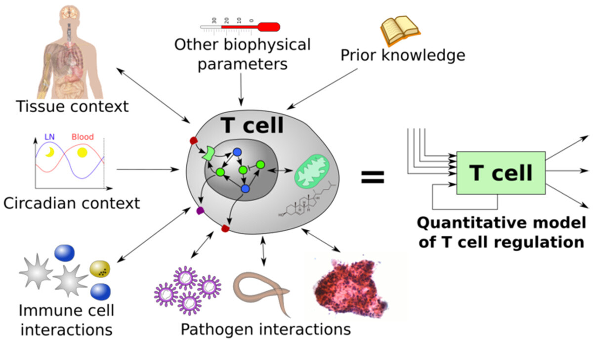 Johan Henriksson lab
