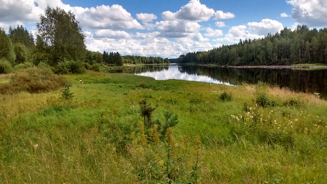 Grass meadow near river