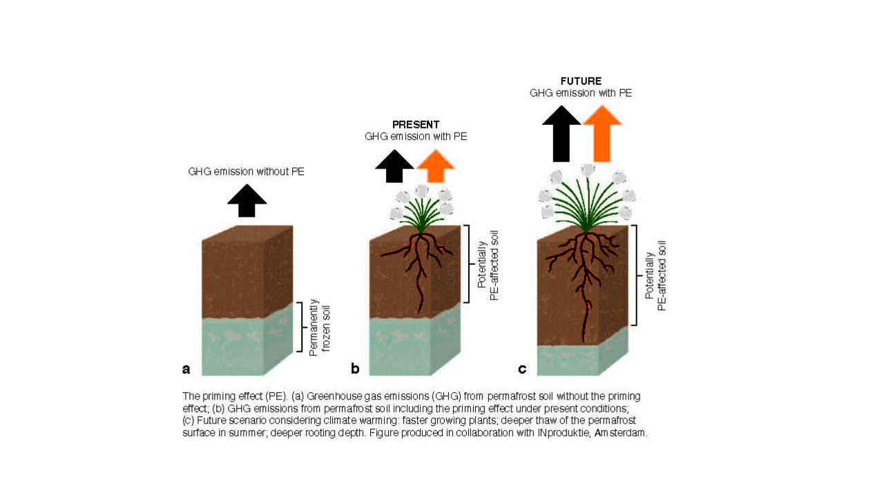 illustration of priming effekt