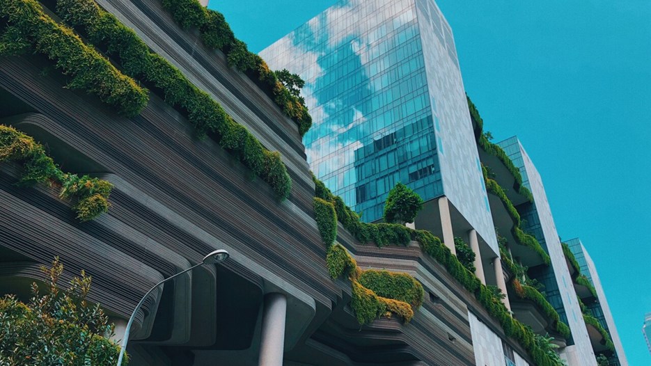 Bilden visar en modern byggnad täckt med grönska. Bilden är tagen underifrån.