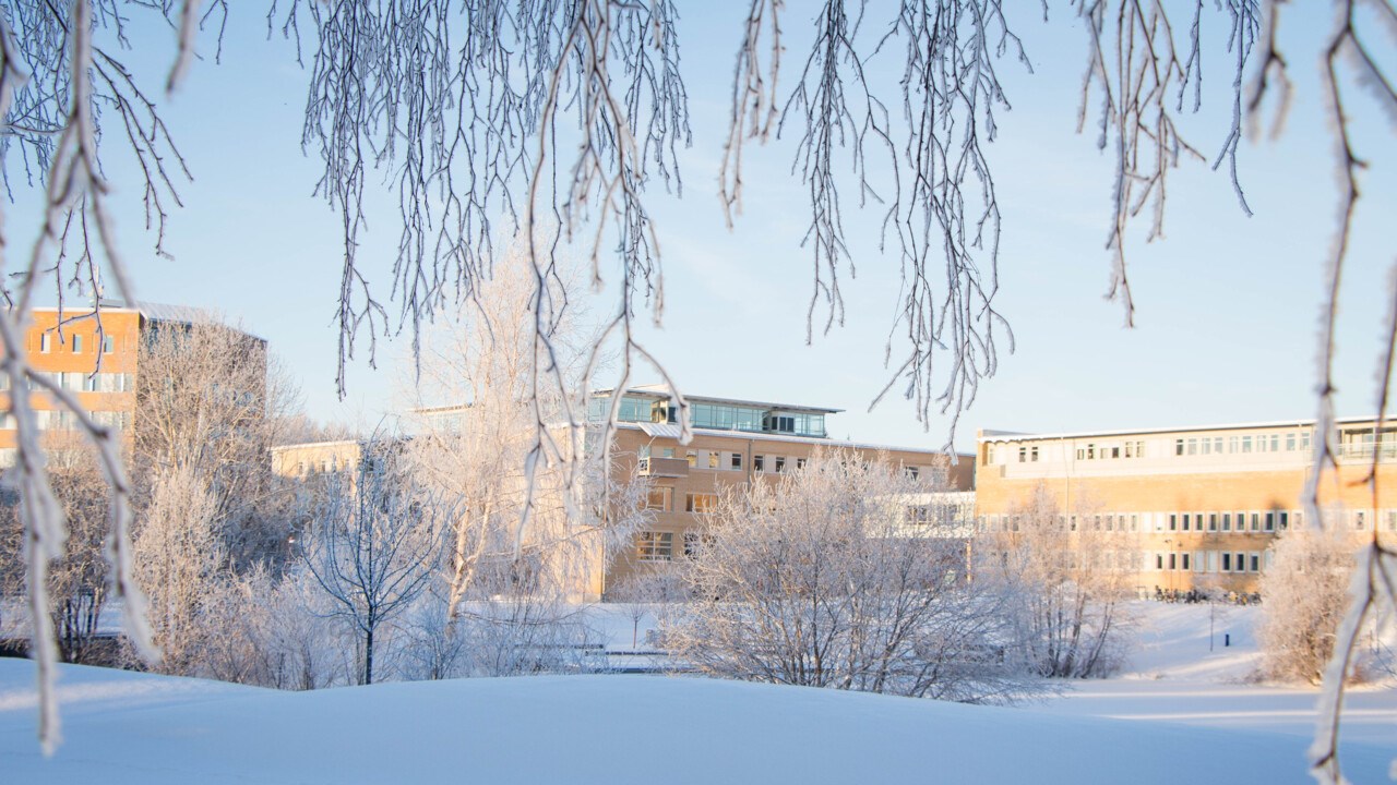 Bild på campus vintertid