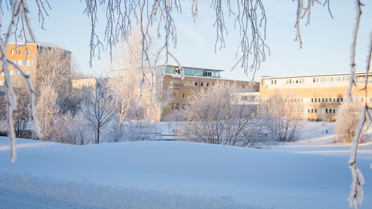 Bild på campus vintertid