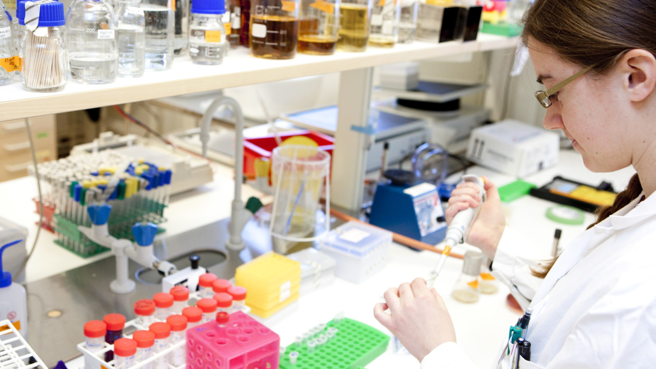 Phd coursework vs research image