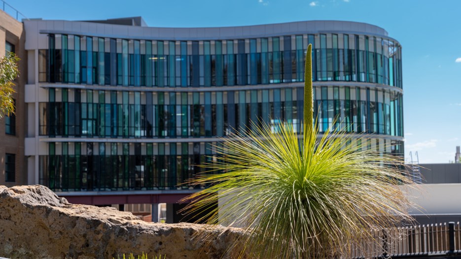 La Trobe University