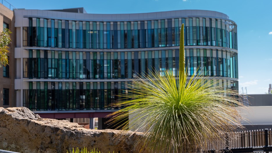 La Trobe University