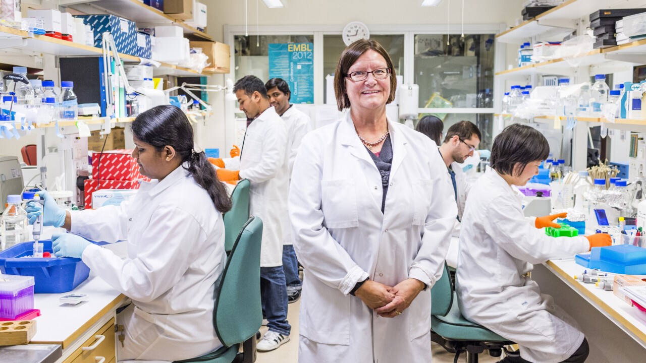 Maréne Landström, professor/överläkare vid Institutionen för medicinsk biovetenskap, enheten för patologi, Umeå universitet.