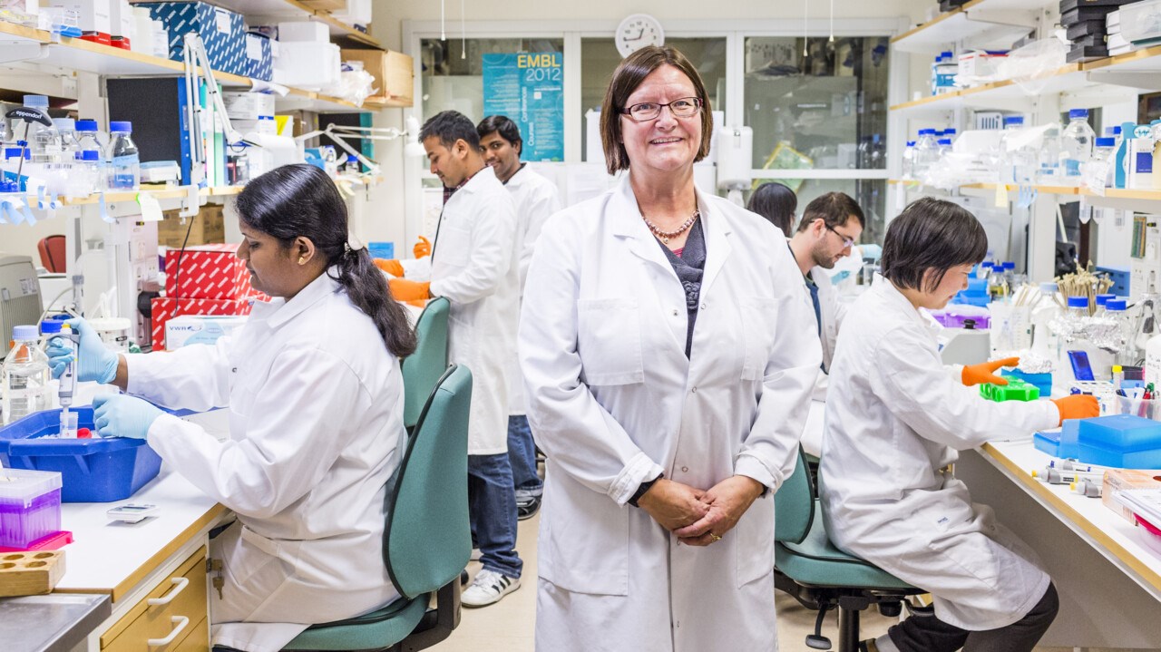 Maréne Landström, professor/överläkare vid Institutionen för medicinsk biovetenskap, enheten för patologi, Umeå universitet.