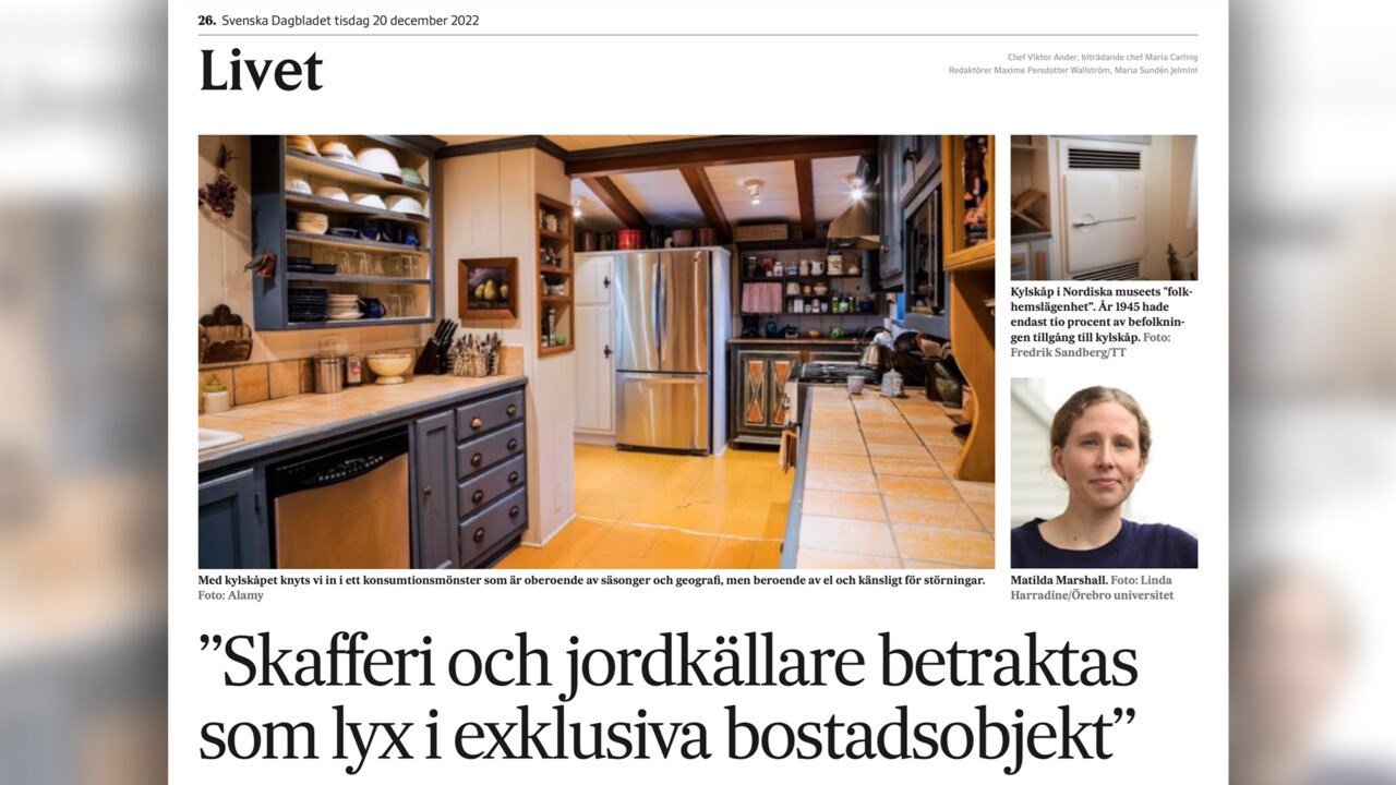 Skärmavbild på en artikel i Svenska Dagbladet.
