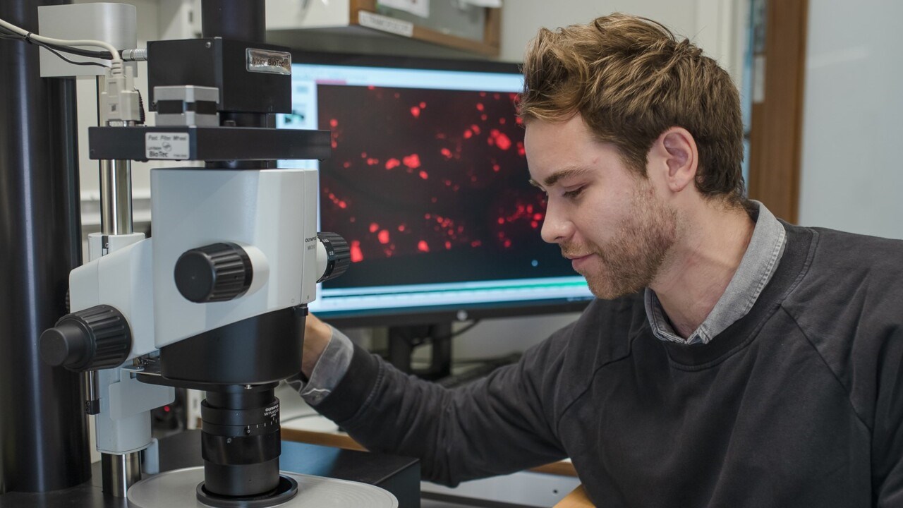 Max Hahn skruvar på ratt till mikroskop med skärm i bakgrunden