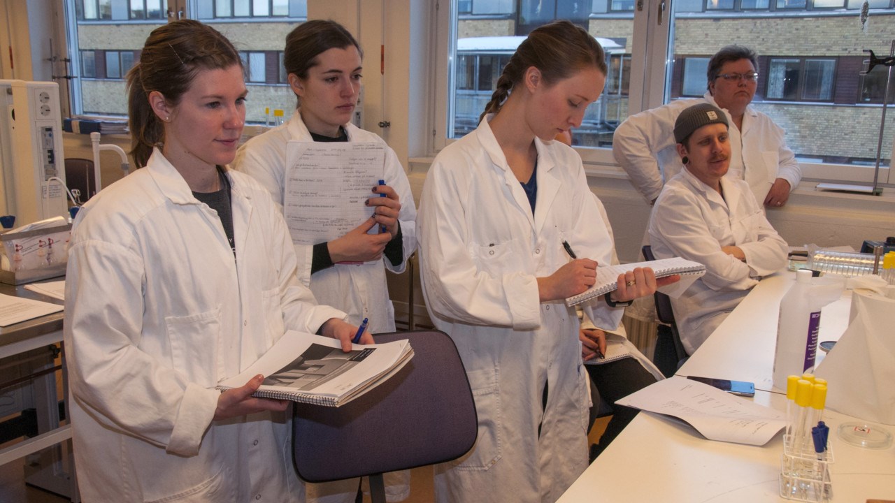 Bild på studenter på miljö- och hälsoskyddsprogrammet i labbet