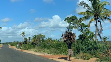 Kvinnor går på landsväg i Mocambique