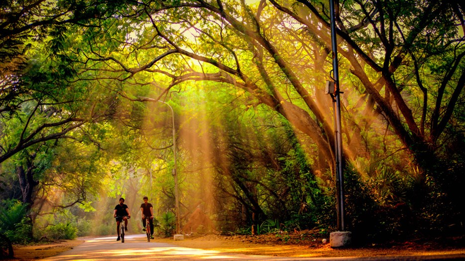 Indian Institute of Technology Madras