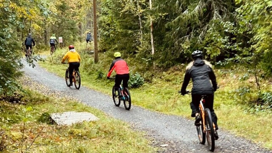 Mountainbike