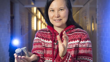 Länk till sida med forskarporträtt