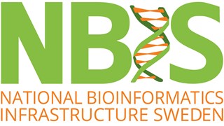 Logotype of NBIS
