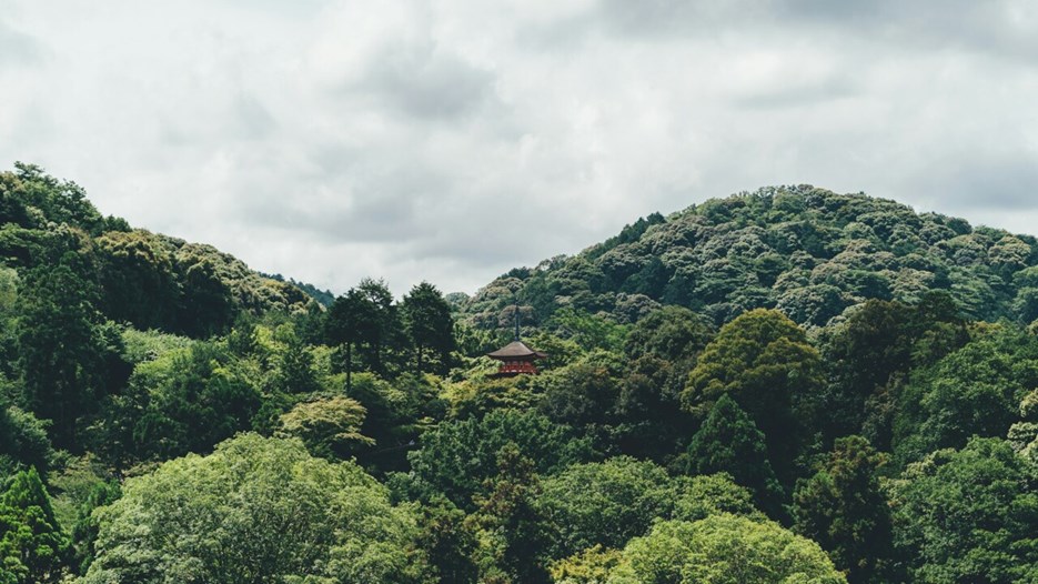 A mountain in japan with a small temple visible among the trees