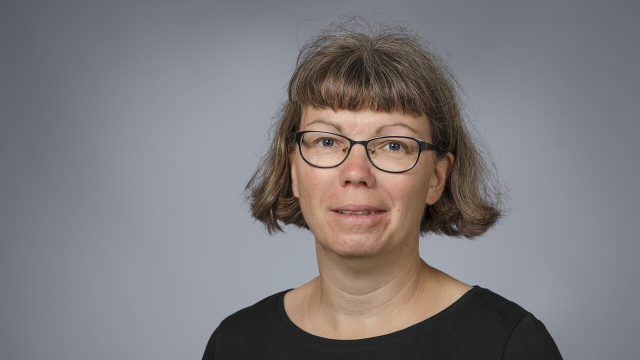Annika Norlund Shaswar, Associate professor at the Department of Language Studies