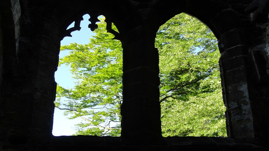 Foto innifrån kyrka på två kyrkfönster som vetter ut mot himmel och grönskande träd.