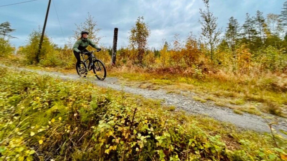 Mountainbike