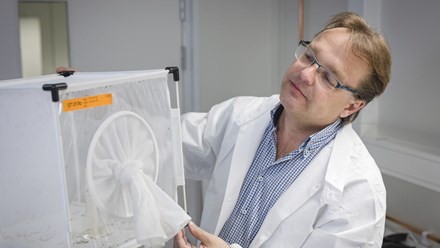 Photo of Oliver Billker in his lab where he studies malaria in mosquitoes