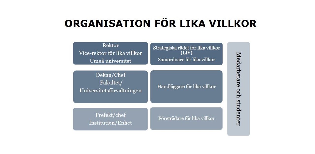organisationskarta, Lika villkors-organisationen