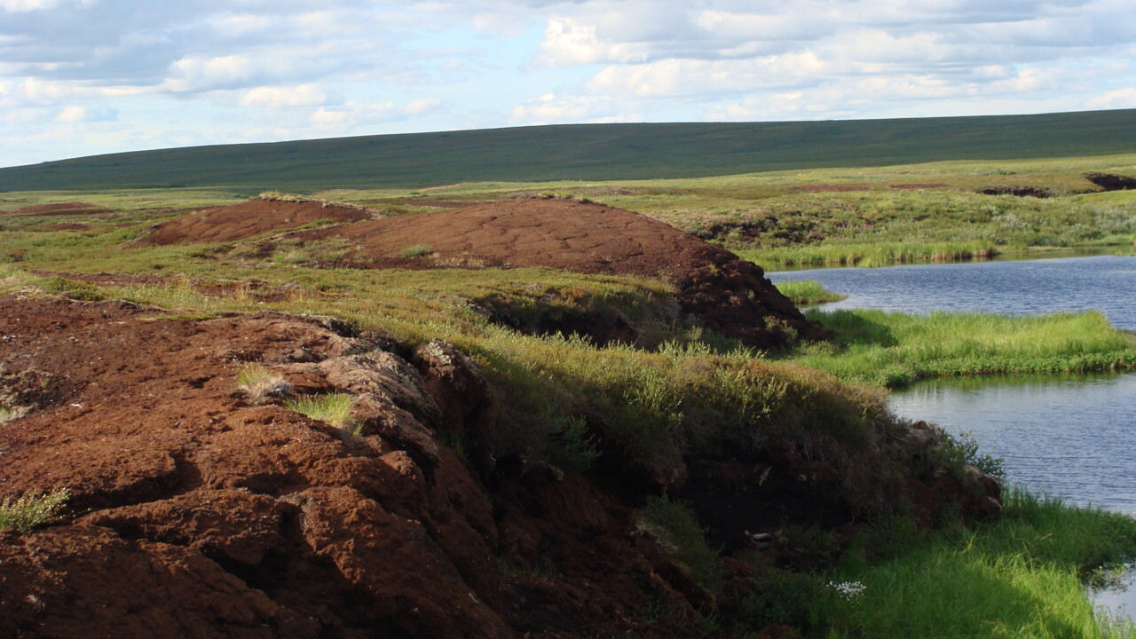 Bild på eroderande kant av torvmark i Ryssland