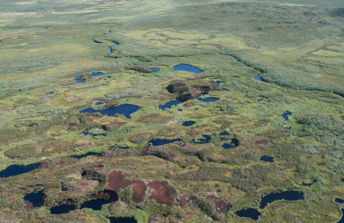 Bild på torvmyr med tinande permafrost