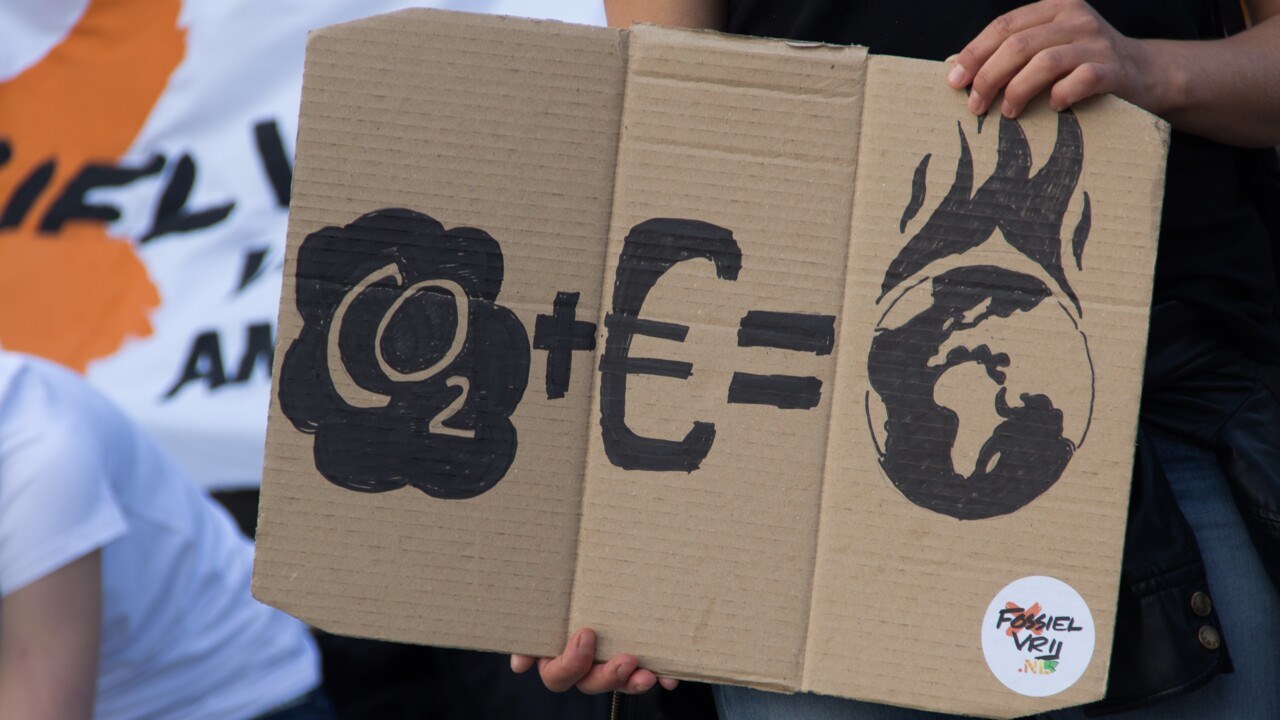 Närbild på miljöaktivist som håller i en hemgjord skylt med texten CO2 + € = en symbol med jordklot som brinner.