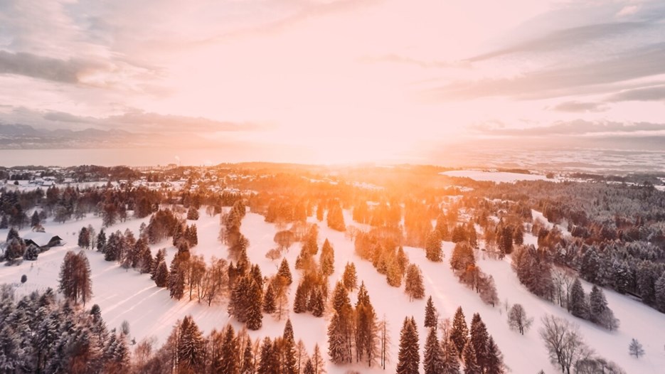 Evening sun over snow-covered forest landscape