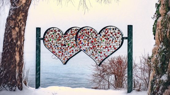 Art hearts between two birch trees by the water in winter