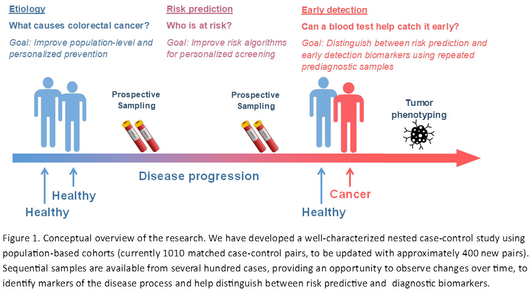 Molecular epidemiology studies toward precision prevention of colorectal cancer.
