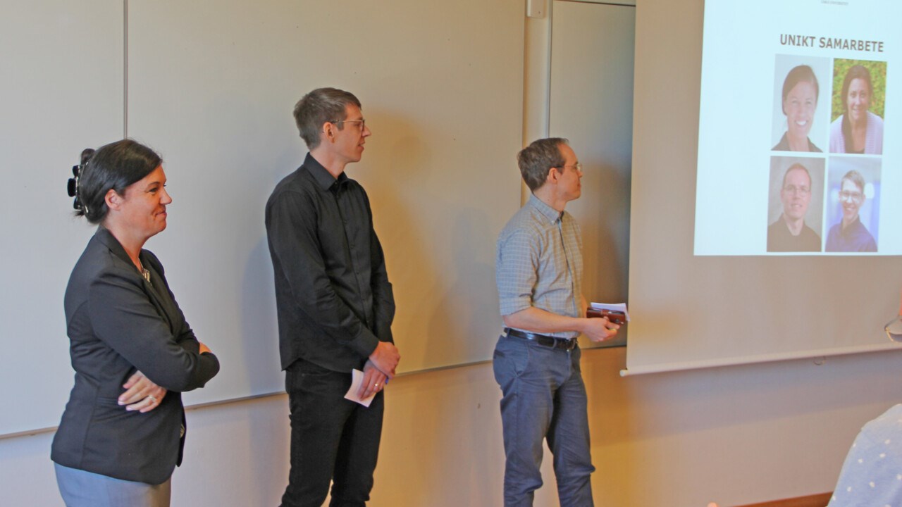 Karolina Broman, Erik Chorell och David Andersson håller en presentation