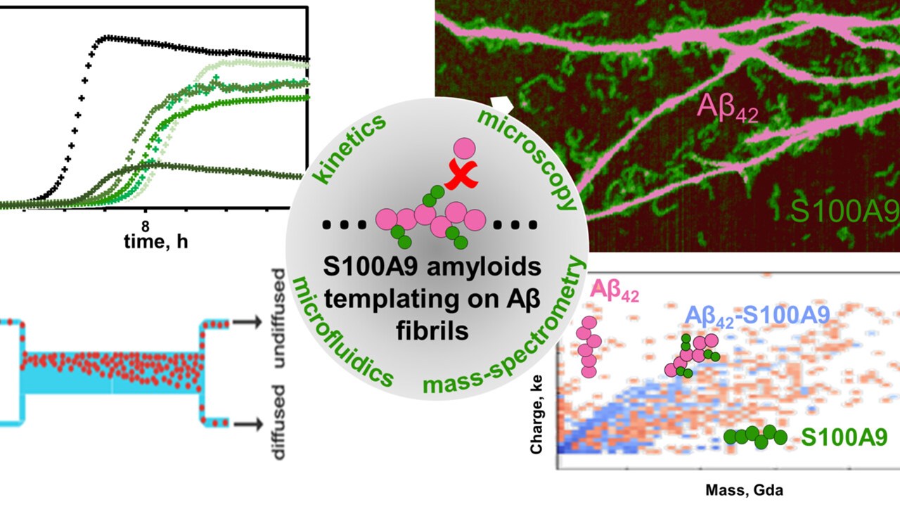 Schematisk illustration