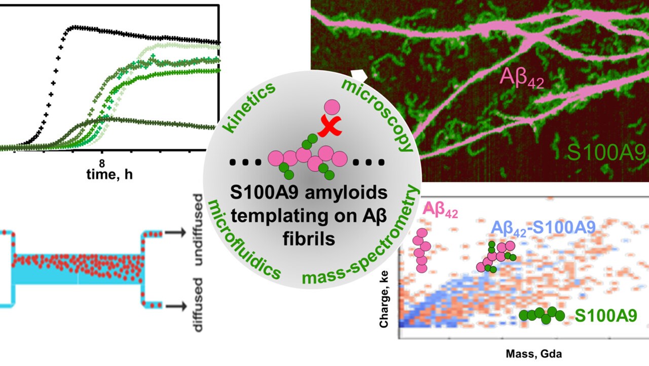 Schematisk illustration