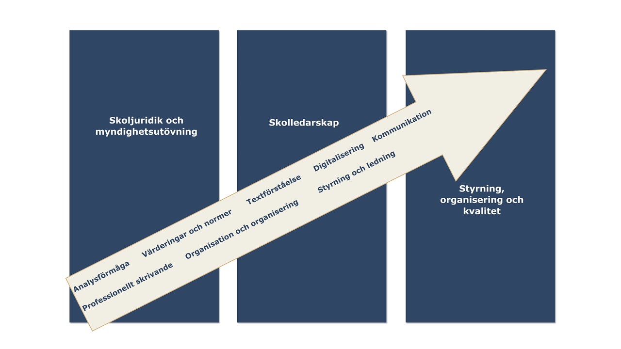 Teman för progression och professionsutveckling rektorsprogrammet: Analysförmåga, värderingar och normer, textförståelse, digitalisering, kommunikation, professionellt skrivande, organisation och organisering, styrning och ledning