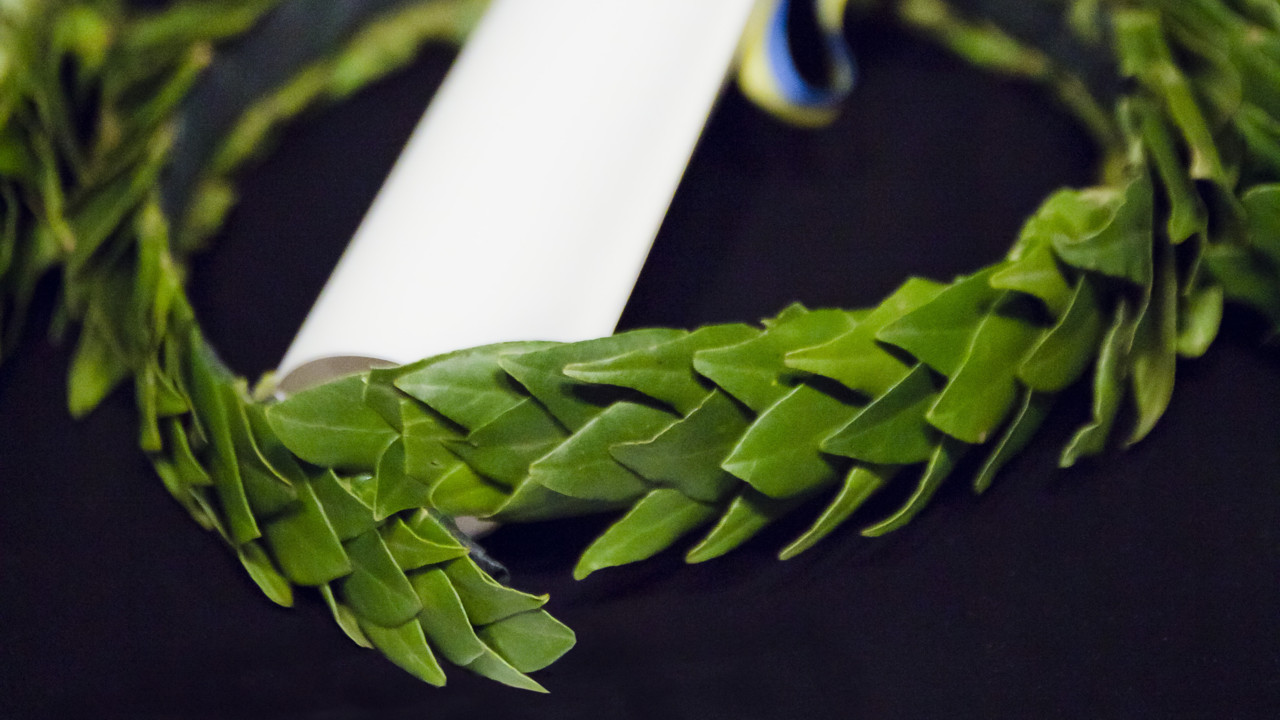 Doktorer som vill promoveras