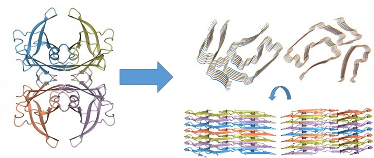 Proteinstruktur