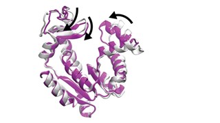 The Swedish Proteomics Society, SPS