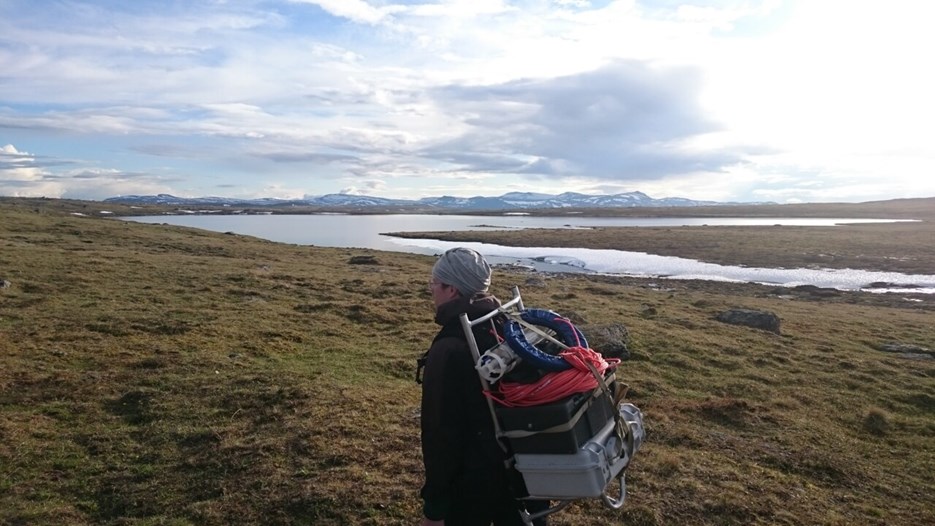 Man standing in Arctic tundra terrain, carrying field equipment on his back.