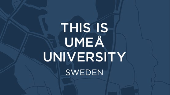 Part of the brochyre This is Umeå University.