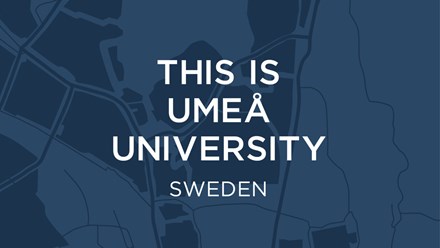 Omslag till broschyren This is Umeå University.