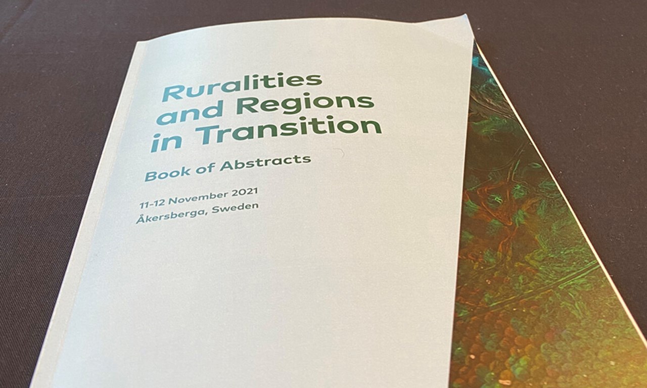 Bild på rapport Ruralities and Regions in Transition