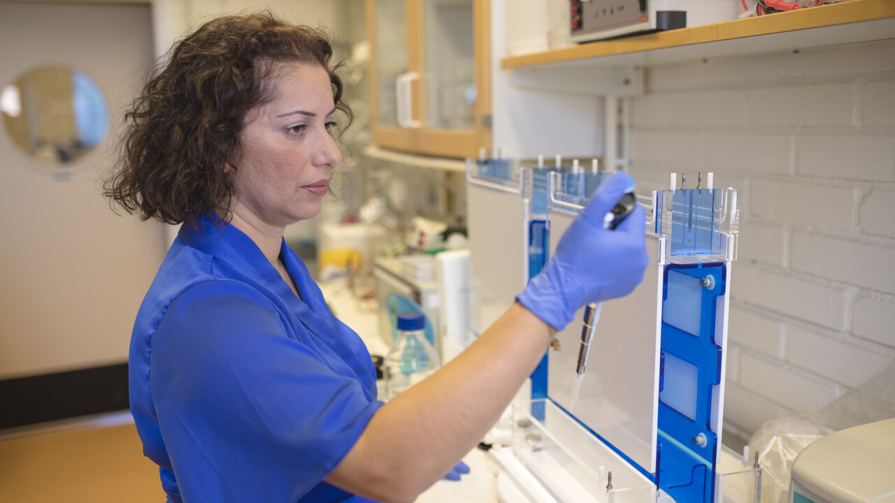 Four-stranded DNA in a new type of cancer therapy