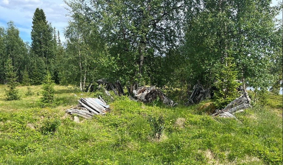 Forest view over Settlement L1194:2155