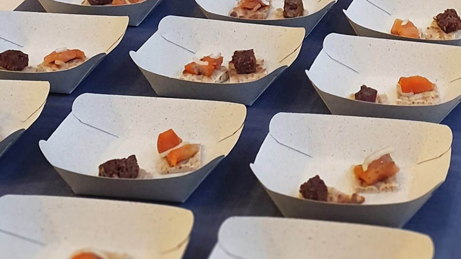 Papptallrikar med små smakprover av samisk mat, uppradade längst ett långbord